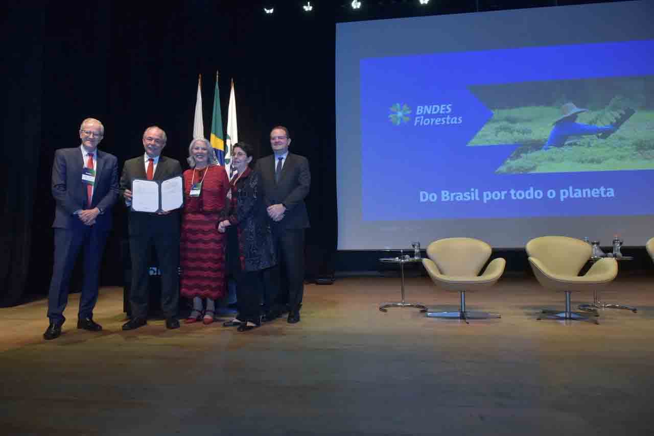 BNDES aprova R$ 250 milhões para a Suzano restaur...